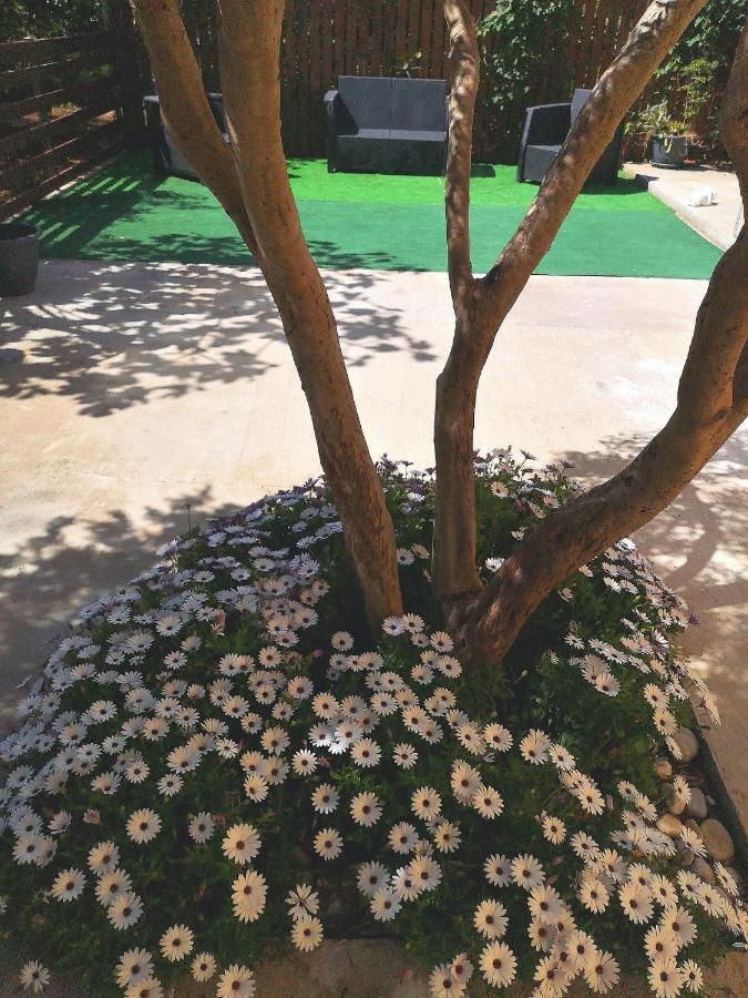 فندق Mondello Sicily House المظهر الخارجي الصورة